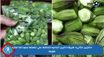 «تخزين مثالي» طريقة تخزين البامية لتحافظ على نكهتها وجودتها لفترة طويلة